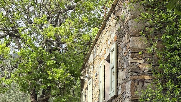 A stone building with a staircase leading to a door, surrounded by greenery and two large potted plants. - CHARMING CORSICAN HOUSE (Barbaggio)