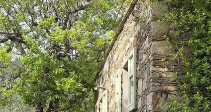 MAISON DE CHARME CORSE