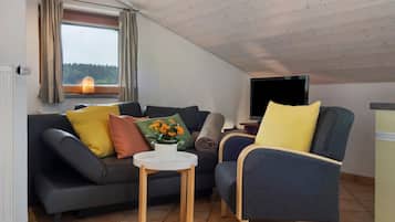 Fernseher, Stereoanlage