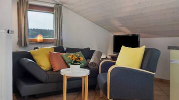 Fernseher, Stereoanlage