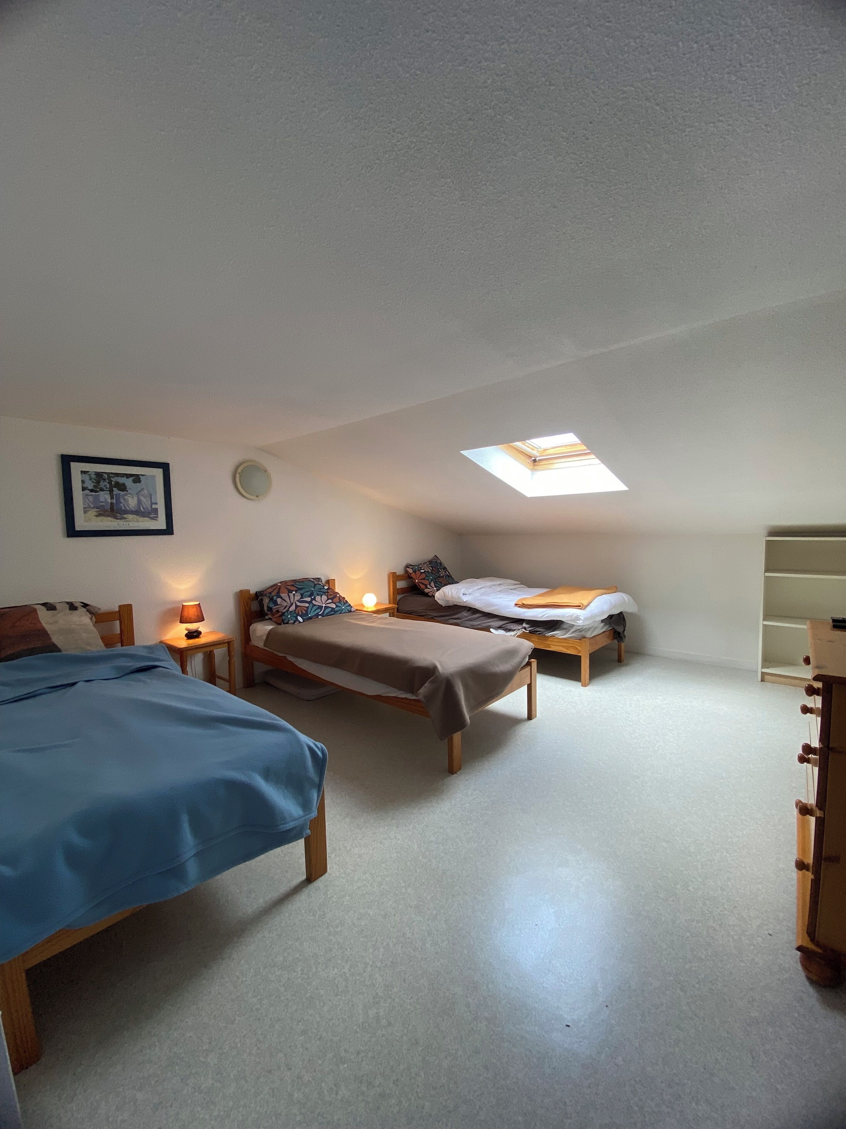 A bedroom with two beds, a skylight, a bedside lamp, and a framed picture on the wall.