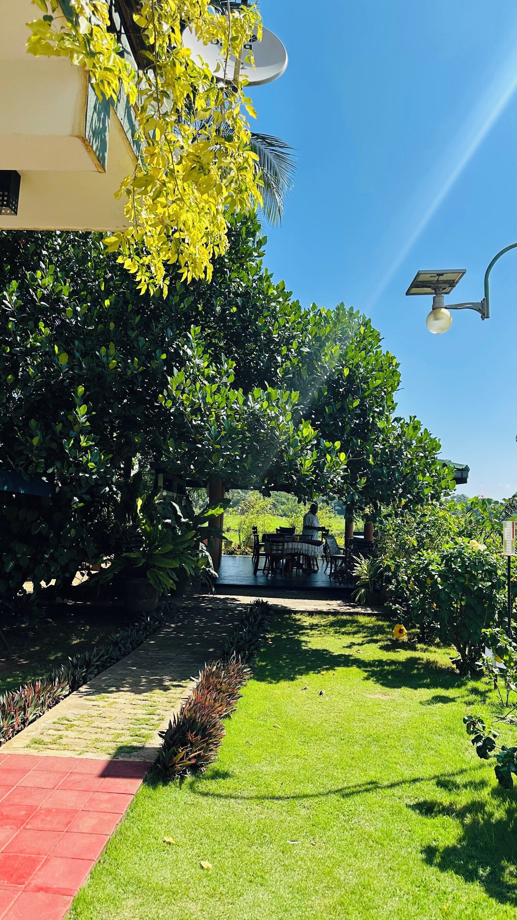 Un jardín bien cuidado con un sendero pavimentado, abundante vegetación y una lámpara de calle con energía solar.