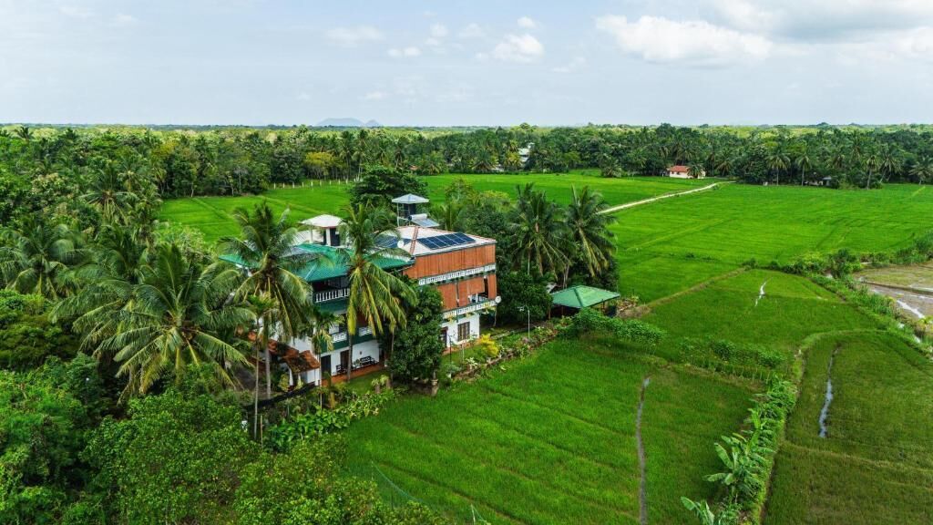 A large, multi-story building with a green roof, surrounded by lush green fields and palm trees.