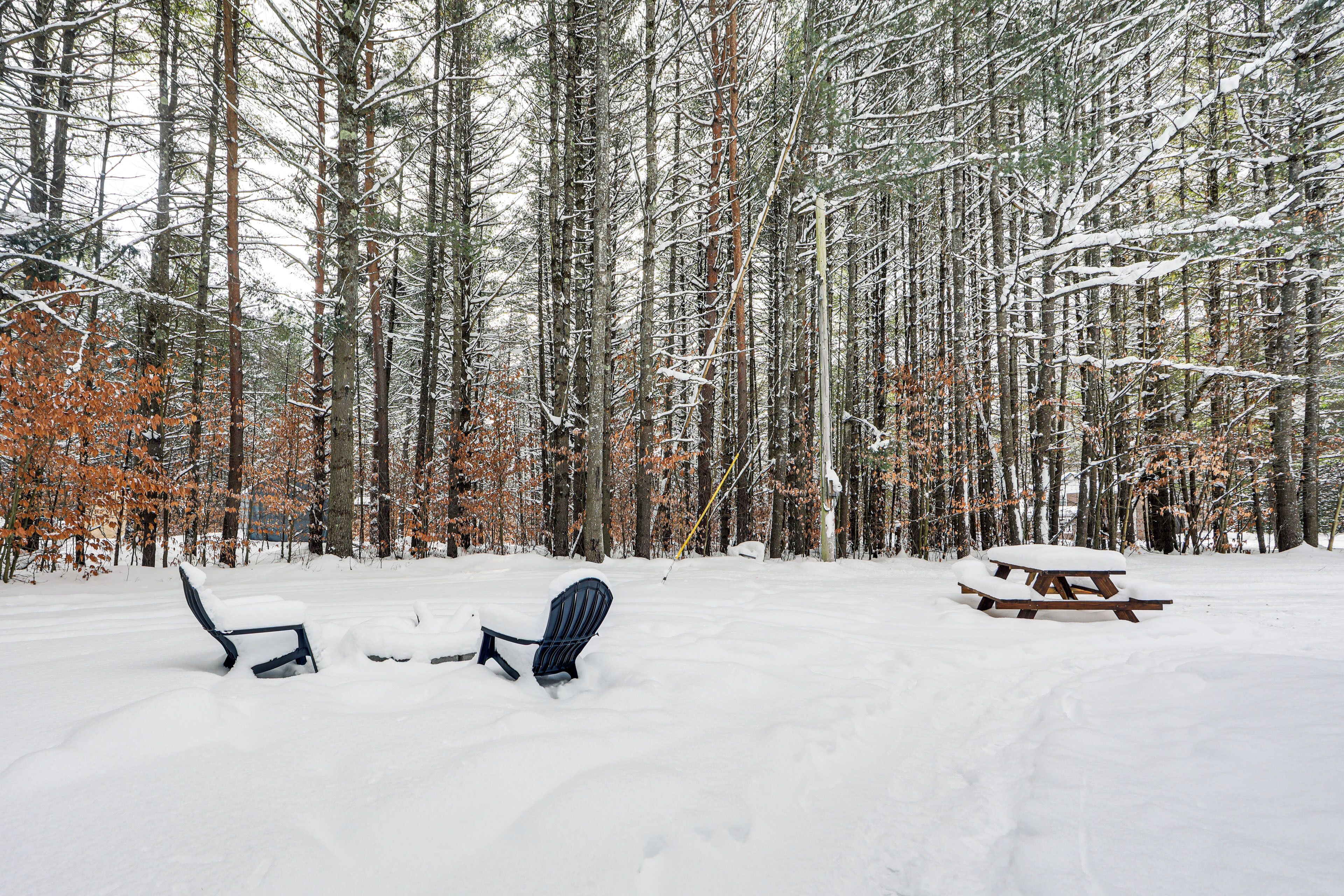 Hus (1 Bedroom) | Innvendig