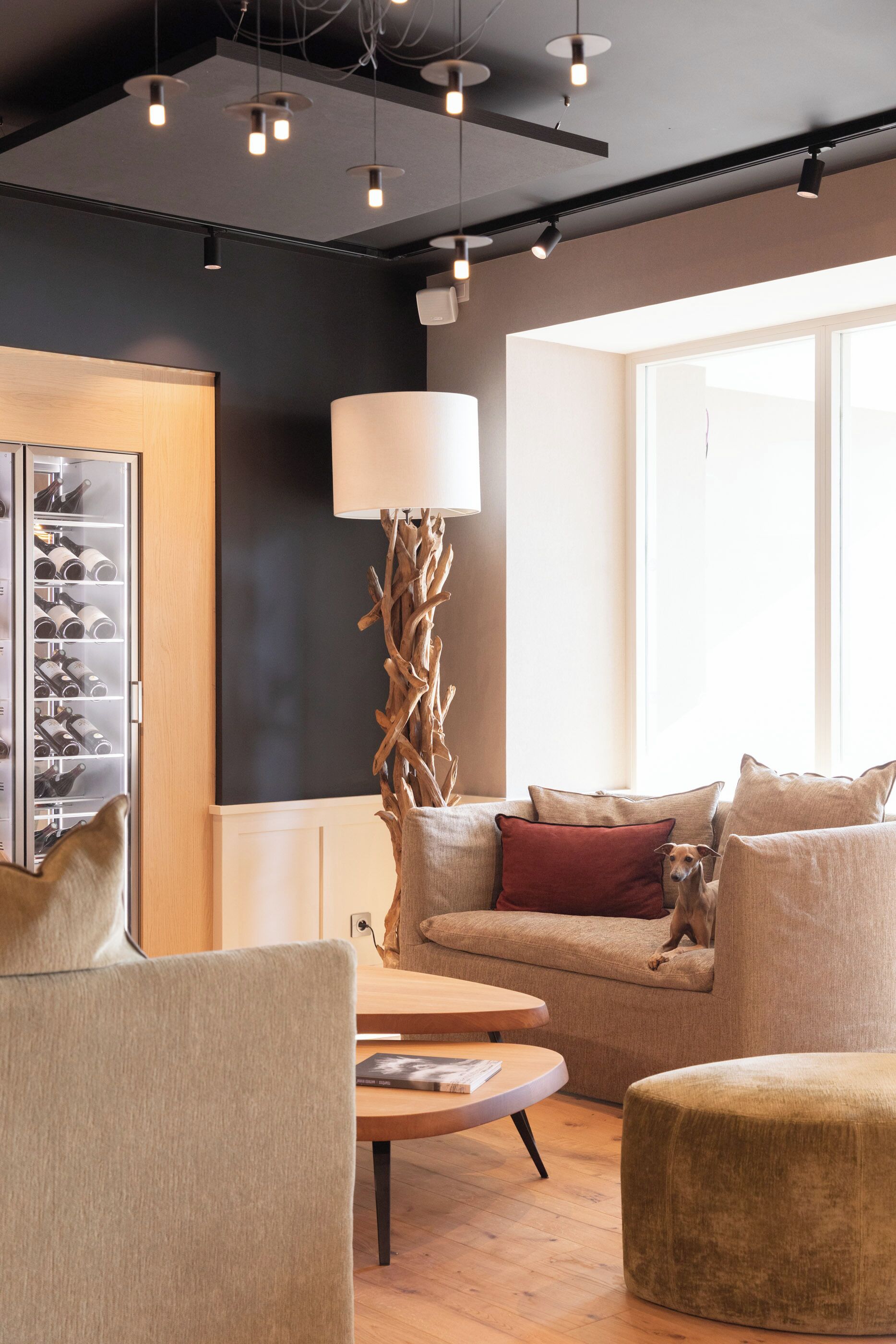 منطقة الاستقبال