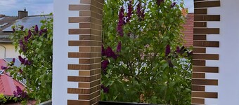 Apartment 'Daniela Fellen - Magda' with Mountain View, Shared Terrace and Wi-Fi