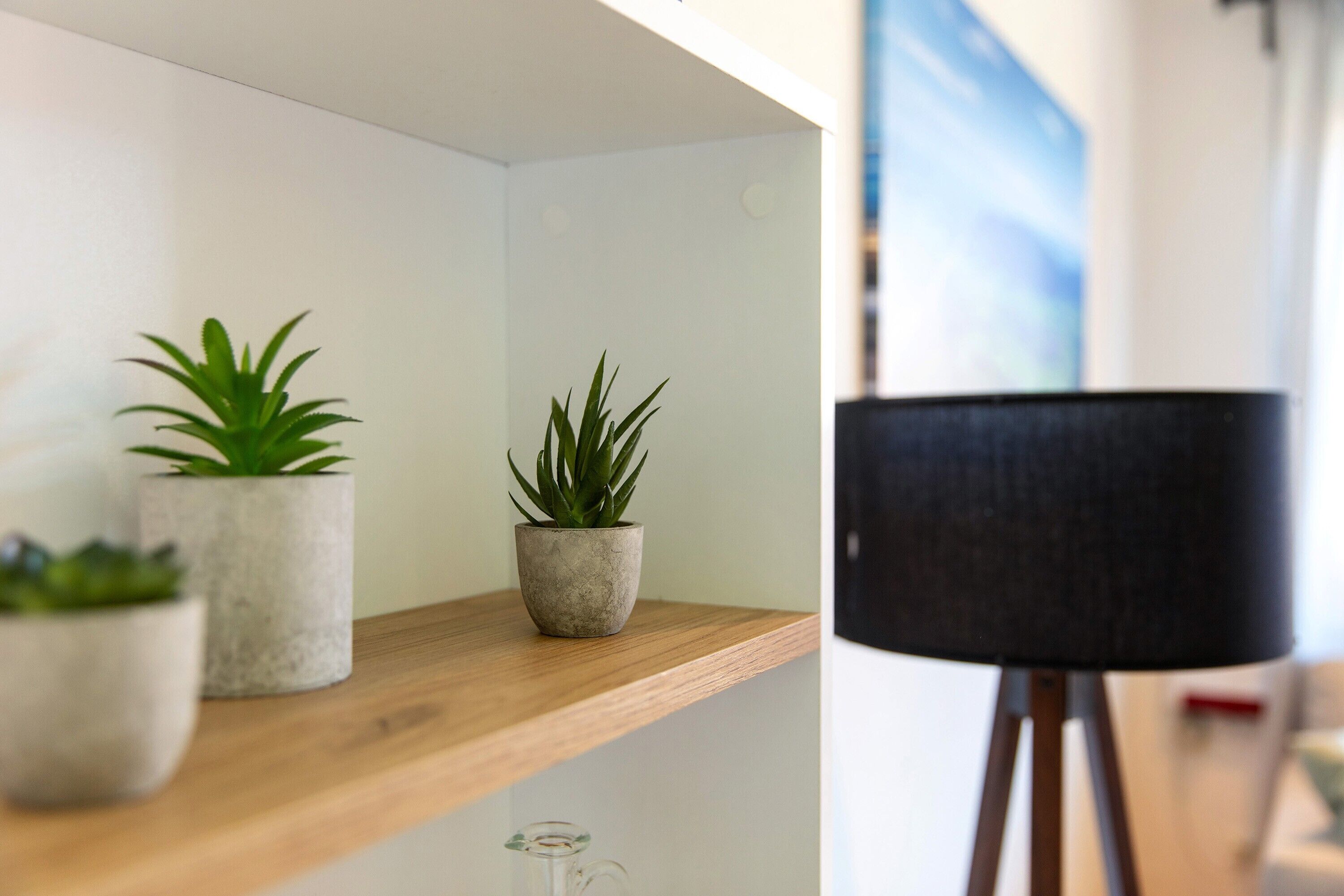 A wooden shelf with three potted plants, a glass vase, and a black lamp on a tripod.