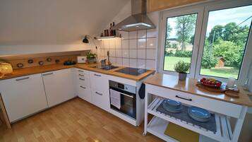 Fridge, oven, stovetop, dishwasher