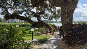 Un sentier bordé d’arbres, avec une vue sur un lac et des bâtiments en arrière-plan.