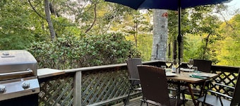 Cozy Cottage by Molls Pond 2409