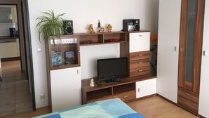 Un dormitorio con cama, televisión, armario, un mueble pequeño con una planta y una zona de cocina visible a través de una puerta abierta.
