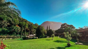 Un prato verde e rigoglioso con una montagna sullo sfondo, circondato da alberi e alcuni edifici.