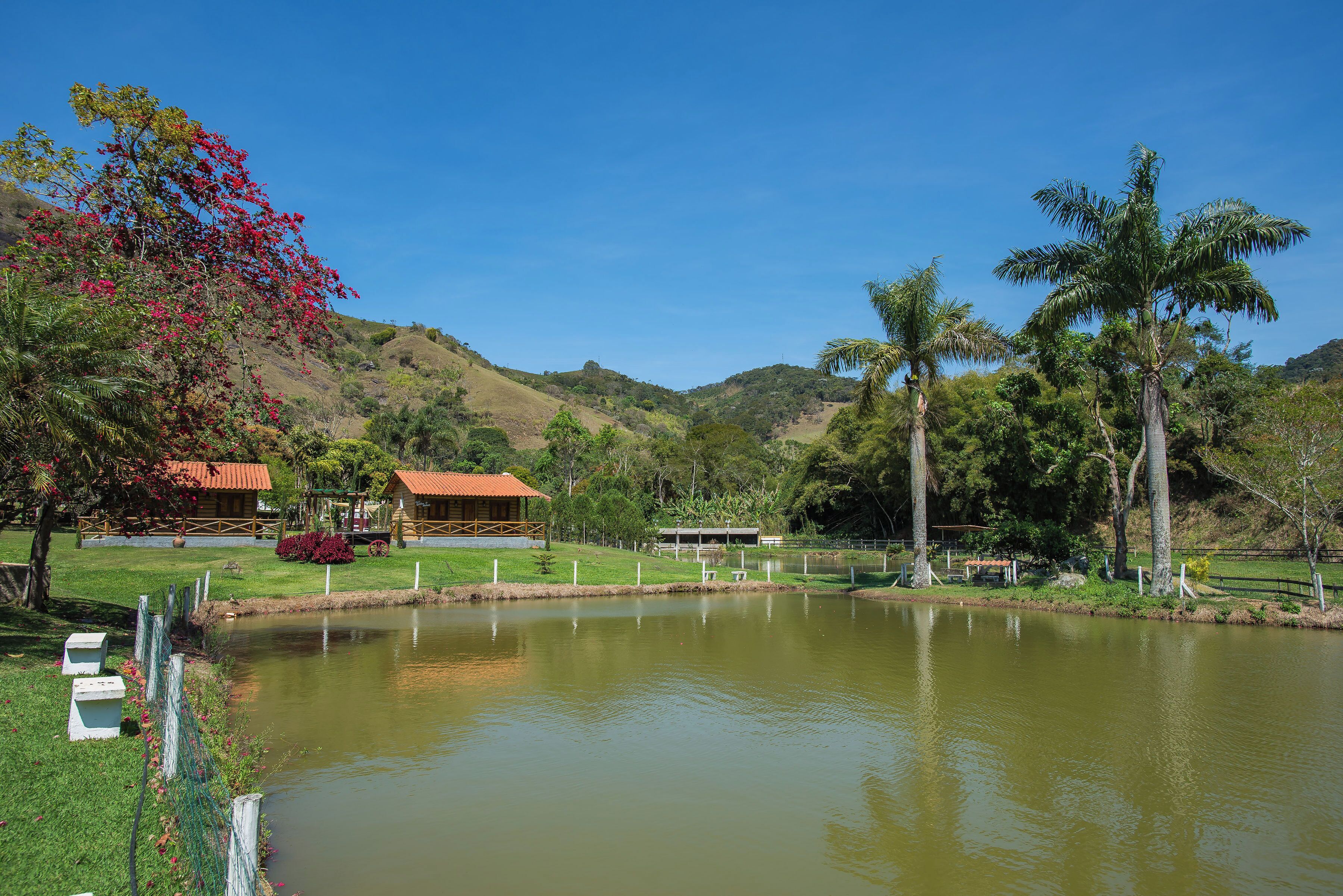 A serene lakeside setting with a wooden cabin, a fenced area, and lush greenery.