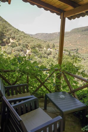 Habitación estándar doble, vistas a la montaña | Terraza o patio