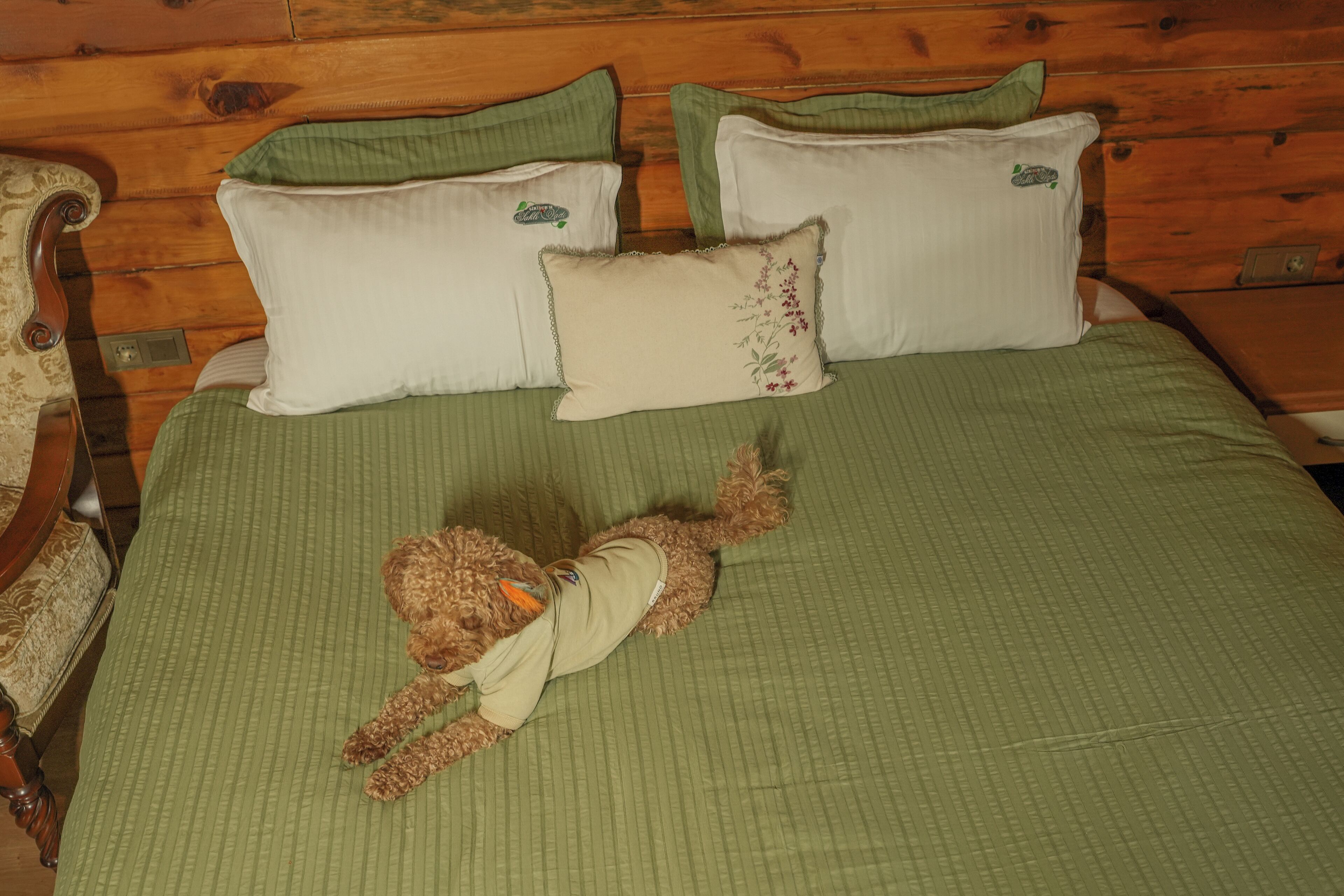 A bed with green bedding and a teddy bear on it.