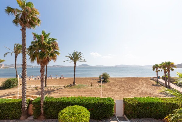 Une vue sur la plage, avec des palmiers, une plage de sable et un ciel dégagé.