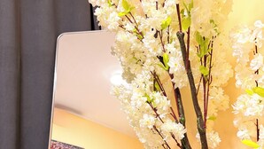 A bedroom with a bed, a mirror reflecting a white flowering plant, and a bookshelf. - Charming T1 in Historical Building-2min to Luanda Bay Museums-Marginal (Luanda)