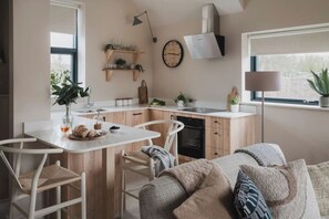 Smart TV, fireplace, books, stereo