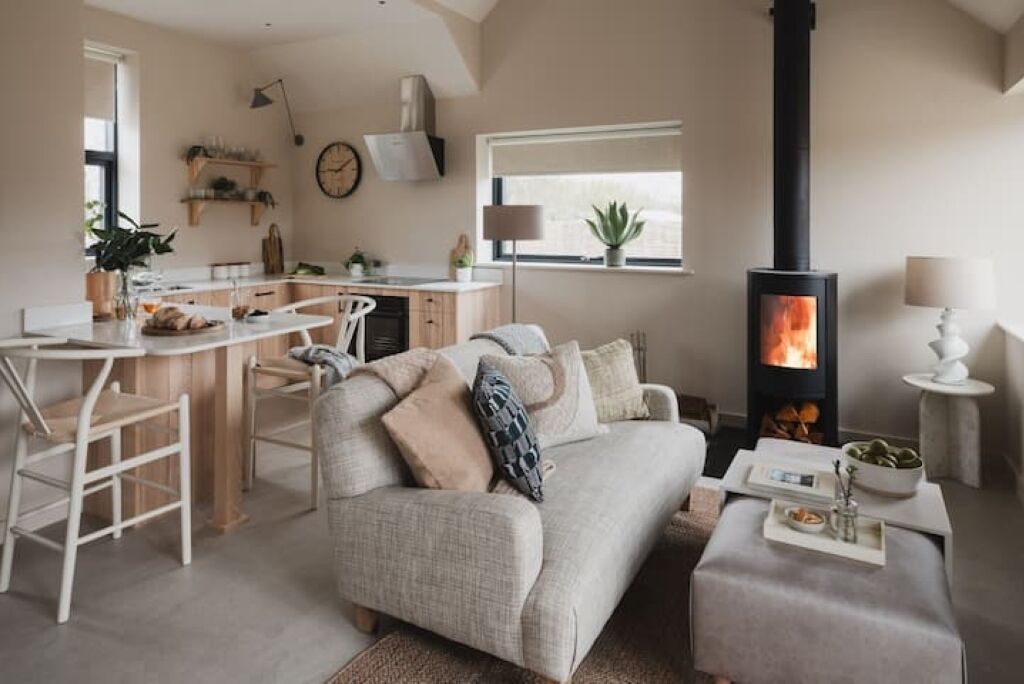 Smart TV, fireplace, books, stereo