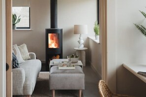 Smart TV, fireplace, books, stereo