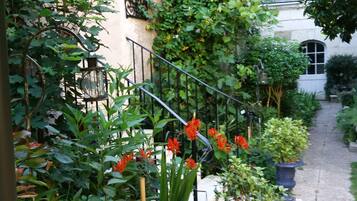 Área da propriedade