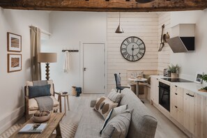 TV connectée, cheminée, livres, chaîne hi-fi