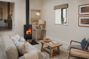 TV connectée, cheminée, livres, chaîne hi-fi