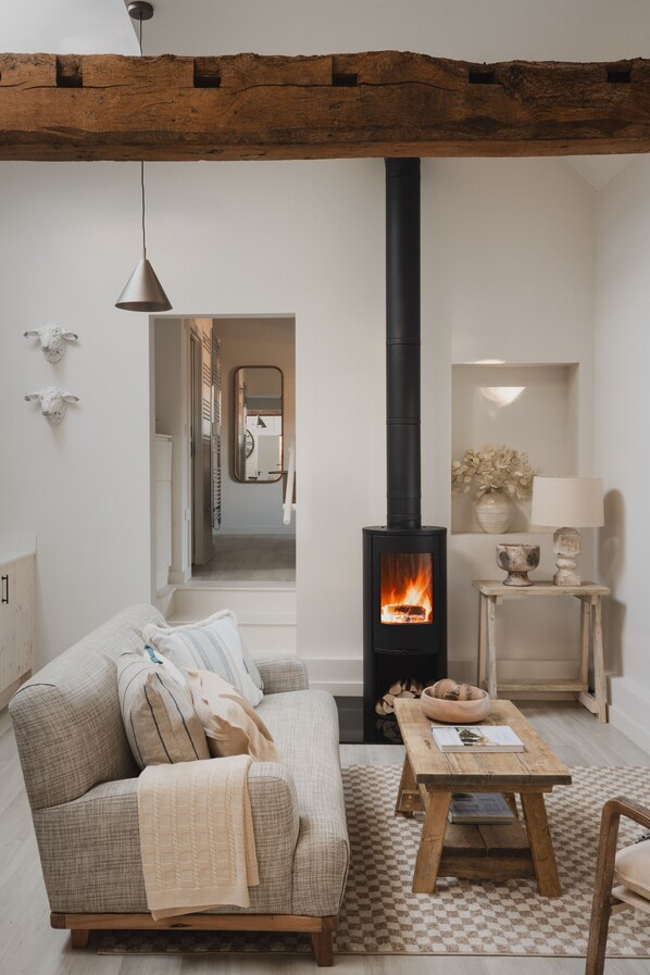 Smart TV, fireplace, books, stereo