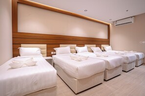 Minibar, soundproofing, iron/ironing board, free WiFi