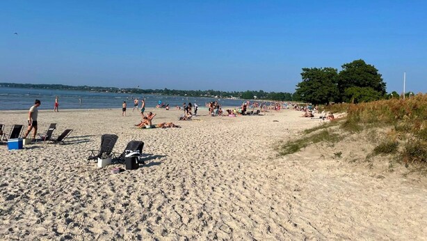 Una platja amb gandules, algunes persones i un arbre a la dreta.