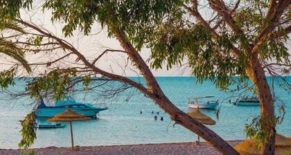 Villa familiale Ă 5 min de la mer â Dar Allouche