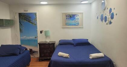 Charming 1-bedroom house in Queens with AC