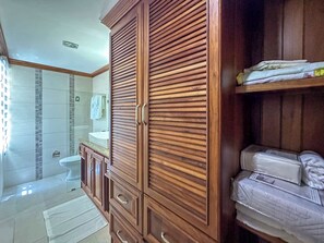 Shower, hair dryer, towels