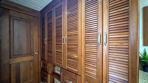 A room with wooden wardrobes, a large door, and a small plant.