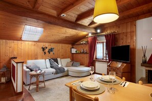 Televisión, chimenea y libros 