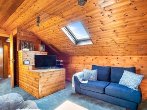 TV, fireplace, DVD player