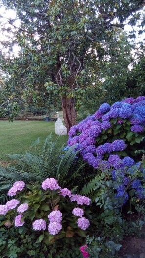 Áreas de la propiedad