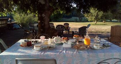 ChĂąteau De Chaunac - Chambre 1