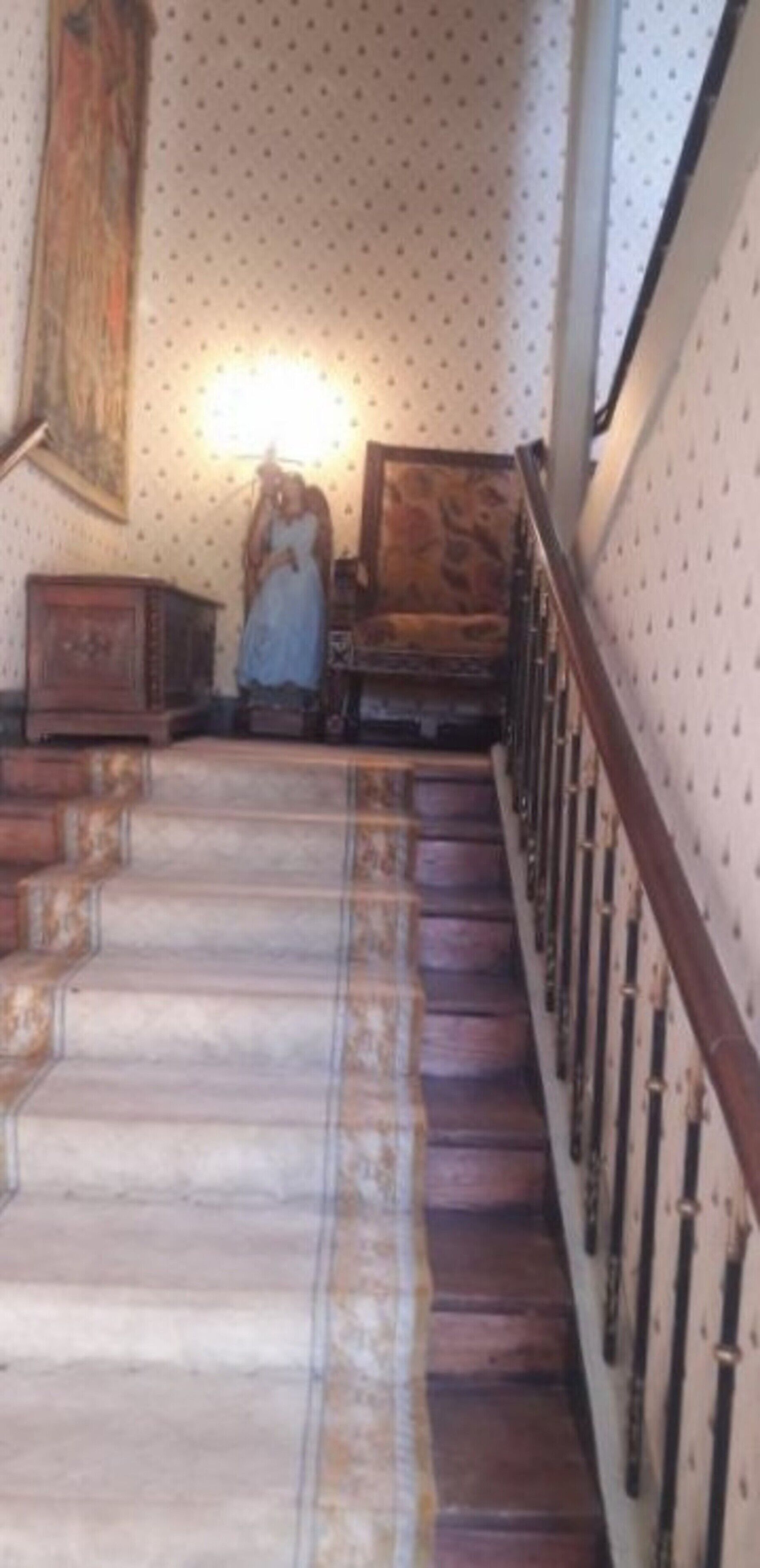 Una escalera con alfombra estampada, barandilla de madera y pared con diseño de lunares.
