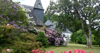 Château De Chaunac - Zimmer 2