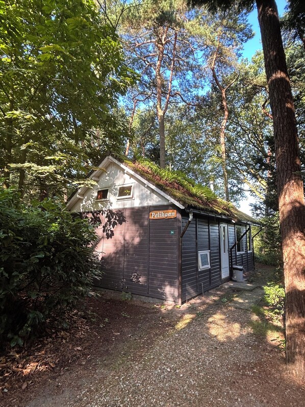 Exterior - Cozy nature cottage with beautiful view over the meadow (Soest)