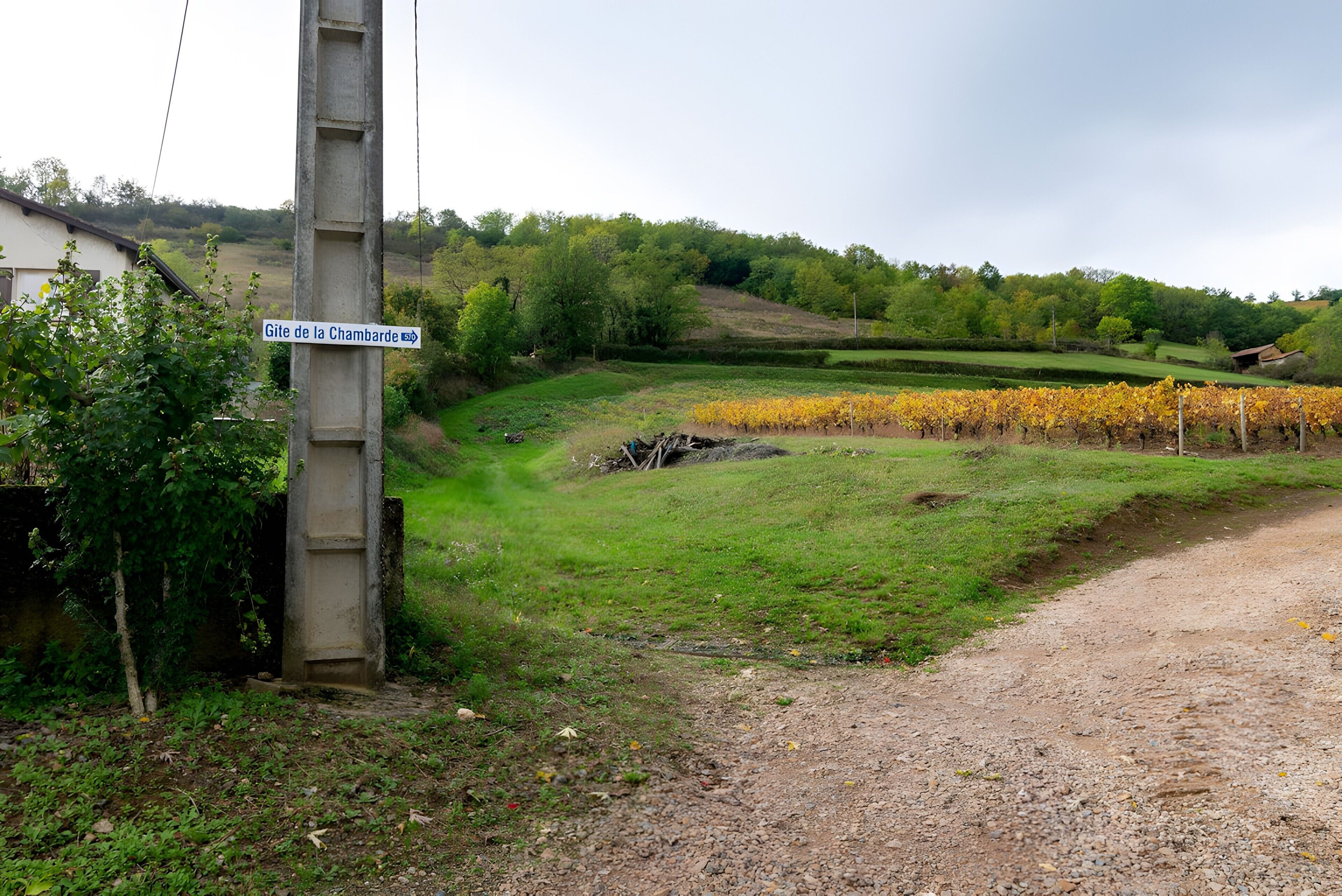 A rural landscape with a dirt road, a vineyard, and a signpost.
