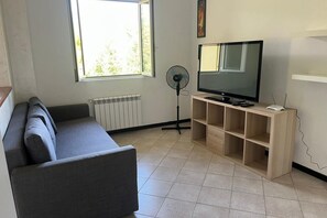 Televisión 