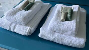 Dusche, Haartrockner, Bidet, Handtücher