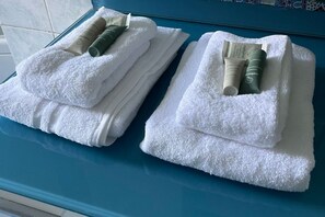 Shower, hair dryer, bidet, towels