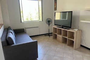 Télévision