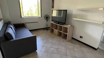 Fernseher