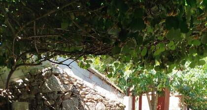 Casa bandulu, charming and sustainable rural house next to the Miño River