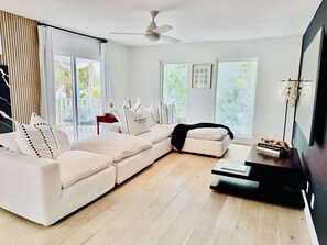 Smart TV, fireplace, books