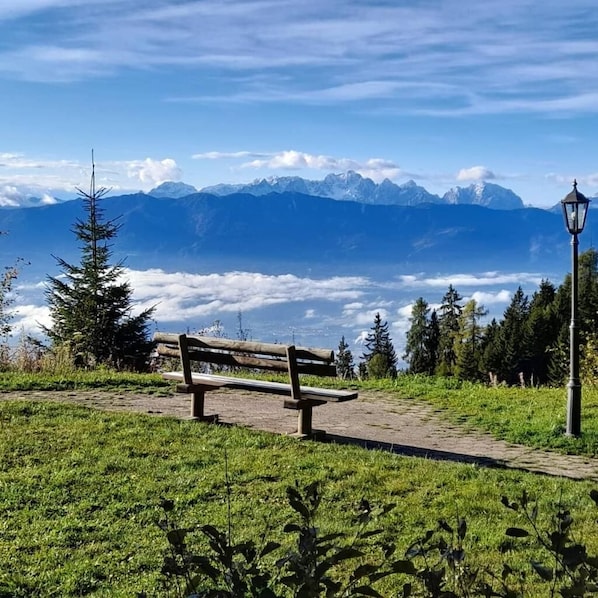Property grounds - Cozy vacation apartment on the Gerlitzen Alpe in the ski & hiking paradise of... (Treffen am Ossiacher See)